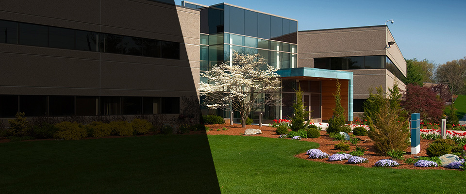 Wilbraham Landscapers