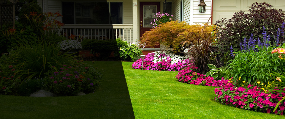 Wilbraham Landscapers