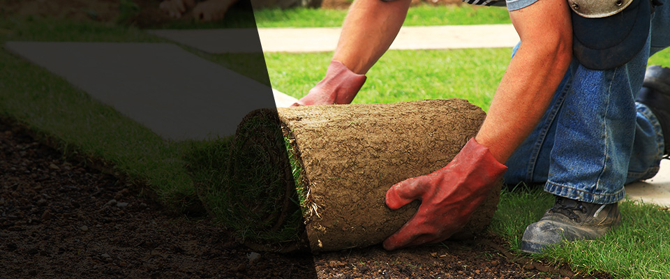 Wilbraham Landscapers